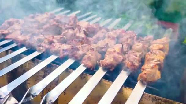 Lamb Shashlik Spies Grilled Garden High Quality Footage — Stock Video