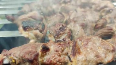 Lamb shashlik casusları bahçede ızgara yapıyor, süper zoom