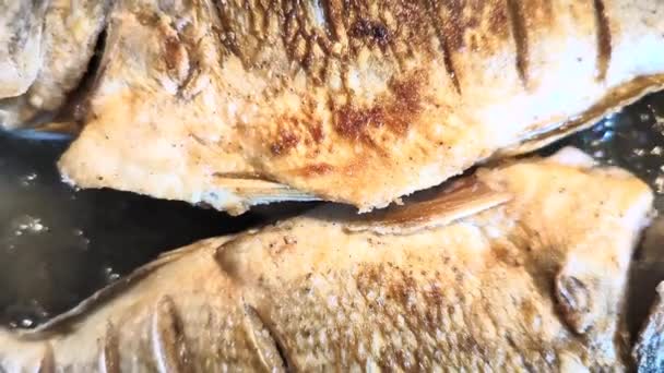 Dwie Apetyczne Ryby Dorado Smażone Patelni Wysokiej Jakości Materiał Filmowy — Wideo stockowe