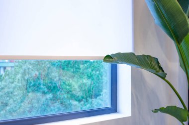 Paten perdeleri pencereye yakın çekim. Bir ev bitkisi beyaz pencere gölgesinin yakınındadır. Pencerenin dışındaki manzara çam ağaçlarıdır. Ev için güneş koruması.