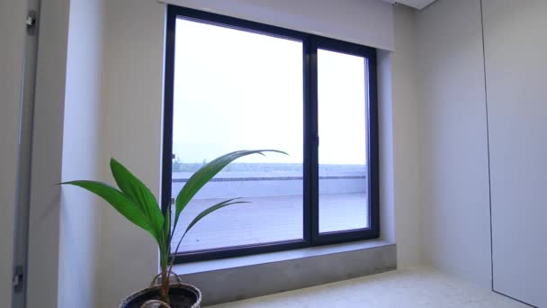 Motorized Roller Blinds Interior Automatic Solar Shades White Color Full — Vídeo de Stock