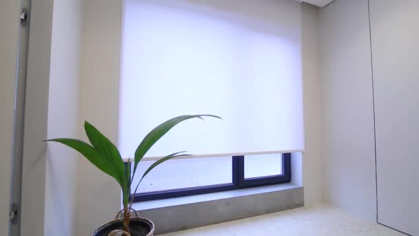 Motorized Roller Blinds Interior Automatic Solar Shades White Color Full — Vídeo de stock