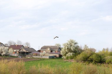 Beyaz Avrupa leyleği, Ciconia ciconia, kırsal bir köyün üzerinde süzülür, leylek kanatları uçarken açılır. Aşağıda, yeni sürülmüş tarlalar ve çiçek açan ağaçlar huzurlu kırsal alanı çevreleyen.
