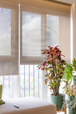 Tavan arasına monte edilmiş otomatik jaluziler büyük pencerelerden gün ışığını filtreler ve parlak bir iç mekan yaratır. Güneş kremleri için kontrol paneli koltuğun üzerinde. Samimi odada kapalı bitkiler..