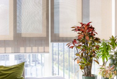 Yüksek katlı bir dairede bej patenli jaluziler güneş ışığını büyük pencerelerden süzerek, aşağıdaki manzaralı şehir manzarasını gözler önüne sererek, doğal ışık altında iç mekan bitkilerinin çerçevesini oluşturur..