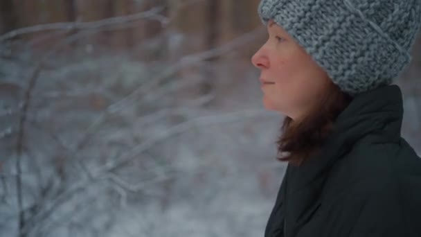 サイドビューレディーのニット帽を背景に森の冬の風景の中を歩く雪の自然屋外 — ストック動画