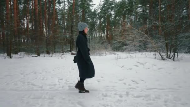 Floresta Inverno Paisagem Neve Natureza Livre Mulher Vestido Casaco Chapéu — Vídeo de Stock