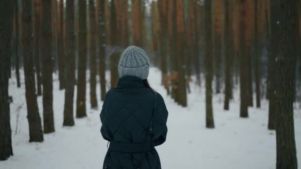 Signora Vestito Cappotto Cappello Maglia Passeggiando Nella Foresta Paesaggio Invernale — Video Stock