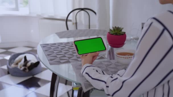 Невпізнавана Жінка Сидить Столом Вітальні Чай Тримаючи Смартфон Горизонтально Зеленим — стокове відео