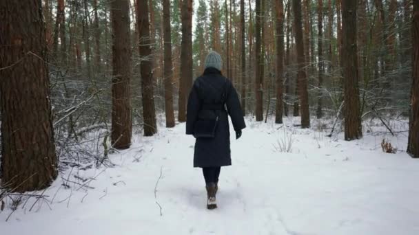 Vista Traseira Mulher Vestida Casaco Chapéu Malha Passeando Floresta Inverno — Vídeo de Stock