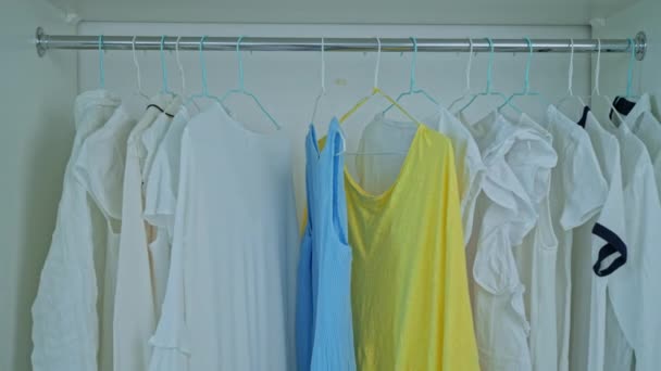 Hangers Dengan Kemeja Yang Berbeda Dan Gaun Lemari — Stok Video