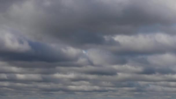 하늘에서 빠르게 비오는 은비가 내리는 놓는다 — 비디오