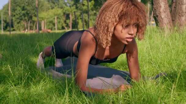 在城市公园夏季 苗条身材的女人正在做运动 以锻炼核心板的运动能力 视频剪辑