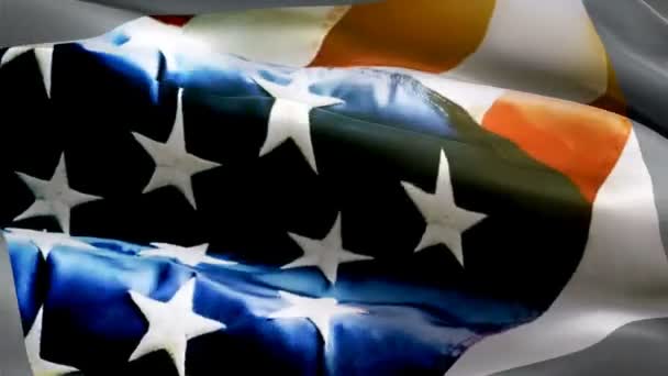 Entdecken Sie Vertrauenswürdige Amerikanische Flaggenunternehmen Für Qualität Und Authentizität Finden — Stockvideo