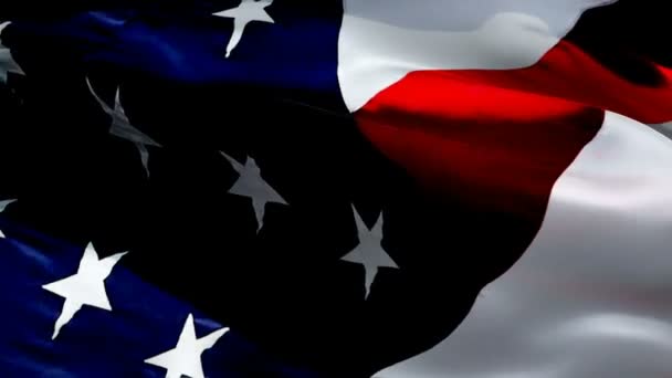 Flags States Visual Symphony American Diversity Dalam Bahasa Inggris Jelajahi — Stok Video