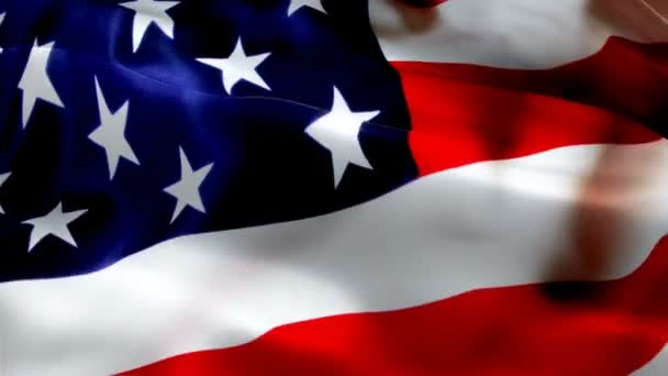 Bandeiras Dos Estados Unidos Nos Estados Unidos Uma Exibição Colorida — Vídeo de Stock