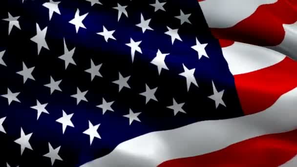 Simbolizați Armonia Steagul American Păcii Expresie Distinctivă Unității Ridicați Afișajul — Videoclip de stoc