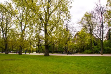 Kalabalık Amsterdam şehrinin ortasında, bir grup insan güneşin tadını çıkarıyor, bir parkta sakin bir şekilde gezinti yapıyorlar. Yemyeşil ağaçlar yollarının üzerinde, gün ışığı gibi benekli bir ışık yayıyorlar.