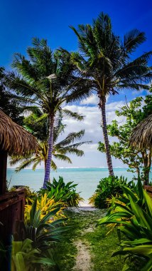 Tropical paradise. Lush greenery embraces pristine Cook Islands beach. Tranquility beckons. clipart