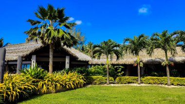 Tropik cennet. Yeşillik, sazdan çatılar, palmiye ağaçları. Idyllic Adası 'ndan kaçış. Cook Adaları sükunet ve doğal güzellik sunar.
