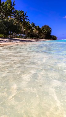 Cook Adaları 'nda tropik bir sahil. Saf beyaz kumda kristal berrak su turları. Palmiye ağaçları hafif esintide sallanır. İdealik cennet bekliyor.