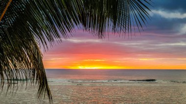 Canlı günbatımı, sakin Cook Adaları okyanusunu yansıtan, gökyüzünü kızgın renklerle boyar. Avuç içi yaprakları sahneyi çerçeveleyerek doğal bir başyapıt oluşturuyor. Bu huzurlu cennet teselli ve...