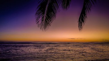 Palmiye yaprakları alevli bir turuncu ve pembe arka planda nazikçe sallanıyor. Cook Adaları 'nın gökyüzü nefes kesen renklerle parlıyor. Huzurlu okyanus göksel tuvali yansıtıyor.
