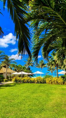 Tropik tatil köyü. Bereketli yeşil çimenler, beyaz kum ve okyanusları olan plaj şemsiyelerine götürür. Cook Adaları 'nda bulunan cennet. Günlük hayattan kaçmak.