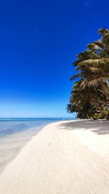 Beach. White sand, turquoise water, clear blue sky. Paradise found in Cook Islands. Escape from reality. clipart