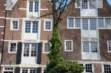 Önünde büyük yapraklı yeşil bir ağaç bulunan tarihi tuğla bir bina Amsterdam 'daki manzaraya hakim. Binada, muhtemelen De Waag, eski tartı evi, çok sayıda kırmızı tuğlalı bir cephe var.