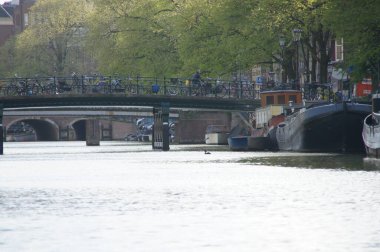 Manzaralı bir kanal Amsterdam boyunca esiyor, bir ördek yüzeyi üzerinde yavaşça kürek çekiyor. Huzurlu sahne, şehrin cazibesi arasında gelişen şehir vahşi yaşamını gözler önüne seriyor..