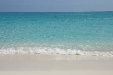 Kumsal. Beyaz kum, turkuaz su, hafif dalgalar. Idyllic tropik cennet. Günlük hayattan kaçmak. Bahamalar. Kumsal. Beyaz kum, turkuaz su, hafif dalgalar. Idyllic tropik cennet. Kaçış