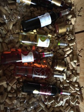 Şarap şişeleri ve bardaklar Portekiz, Braga 'da bir mantar yatağında dinleniyor. Kırsal cazibe ve sıcak bir davet. Şarap yapma geleneğinin bir kanıtı. Üzümden cama görsel bir yolculuk.