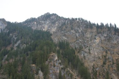 Almanya 'da bir dağ yamacında, Münih, kayalık çıkıntıları olan yeşil ağaçlarla kaplıdır. Yeşillik yemyeşil dağ yamacına dik olarak tırmanır. Bu doğa sahnesi vahşi yaşam için bir yaşam alanı olabilir.
