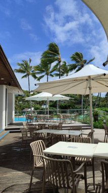 Hamilton Adası kaçışı: turkuaz su havuzun kenarını turluyor, rahat mobilyaların yanında teras şemsiyeleri altında rahatlamaya davetiye çıkarıyor. Tropik atmosferli bir konaklama için mükemmel..