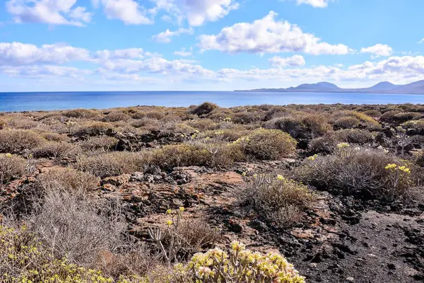 Испанский Пейзаж Вулканических Канарских Островах — стоковое фото