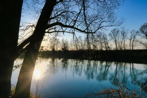 Reflexion Der Bäume Wasser Der Natur — Stockfoto