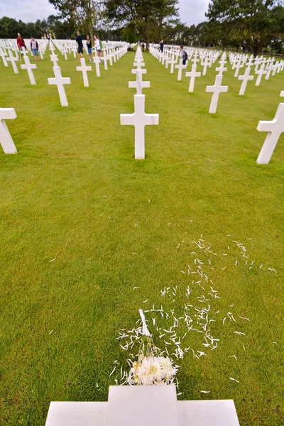 Photo French American Cemetery Normandy — 스톡 사진