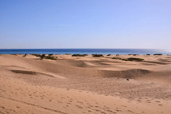 stock image Desert with sand dunes in Maspalomas Gran Canaria Spain