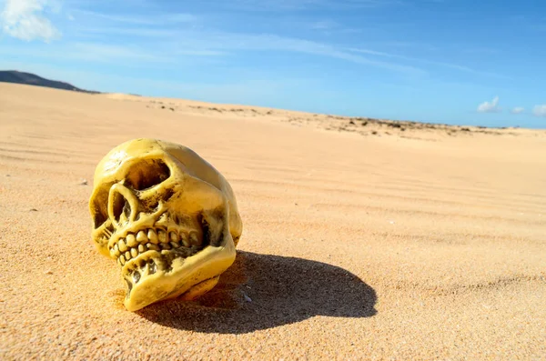 Foto Conceitual Objeto Crânio Humano Deserto Seco — Fotografia de Stock