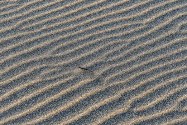 Ripples Sand Beautiful Photo Digital Picture — Stock Photo, Image