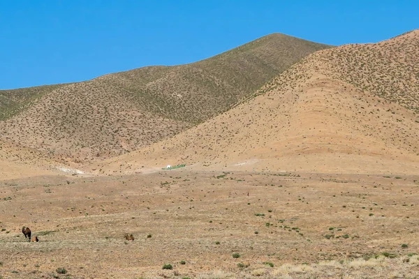 Wüste Schönes Foto Der Natur — Stockfoto