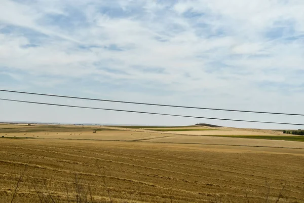 畑と青い空自然 — ストック写真