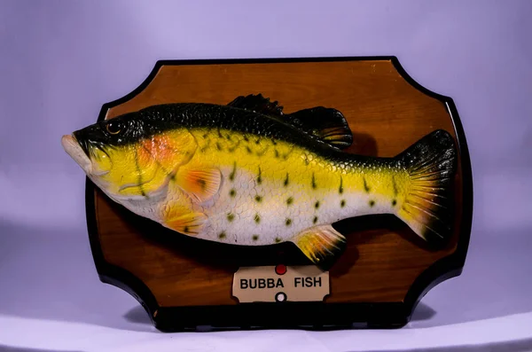 Ξύλινο Bass Fish Trophy Λευκό Φόντο — Φωτογραφία Αρχείου
