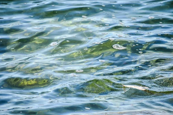 水の波紋背景としての写真デジタル画像 — ストック写真