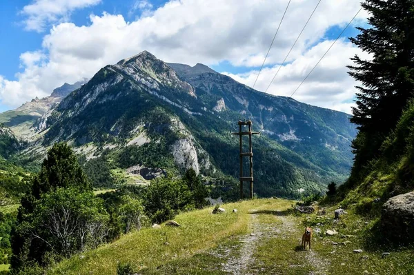 Widok Alpy Przyroda — Zdjęcie stockowe