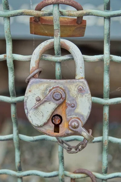 old rusty padlocks on the background of the fence