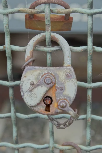 old rusty padlock on the background of the fence