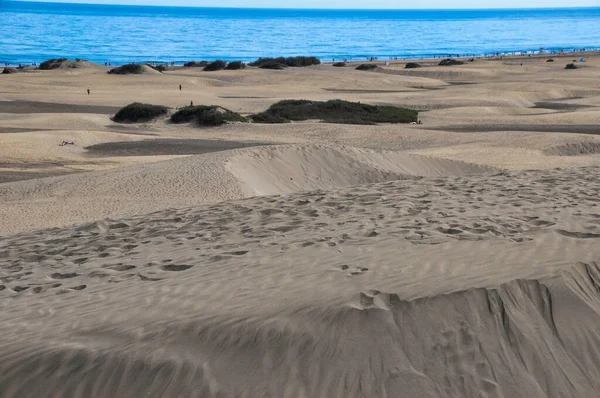 Zandlandschap Duinwoestijn Blauwe Zee Met Lucht Achtergrond — Stockfoto
