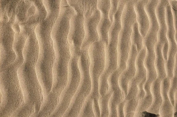 Full Frame Image Sandy Landscape Dune Desert —  Fotos de Stock